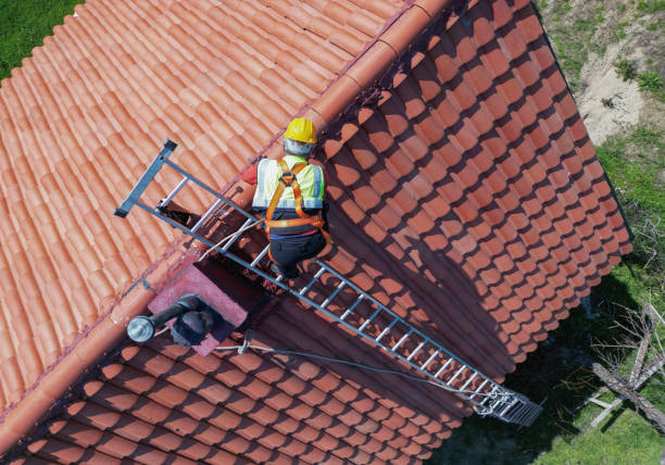 Professional Roofing in Bonney Lake, WA